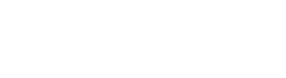 Logo vivaz